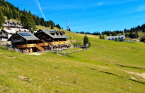Hotels in Cerklje Na Gorenjskem